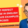 Past Perfect Tense in English | Rules Examples Exercises